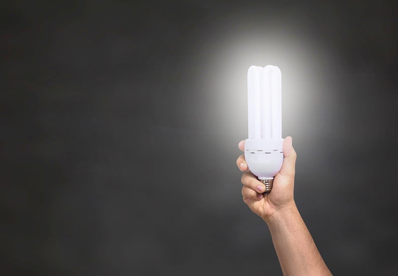 Enchanted Lighting Ideas