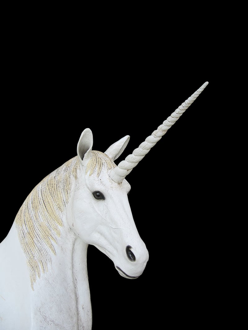 Unicorn Photo Opportunity